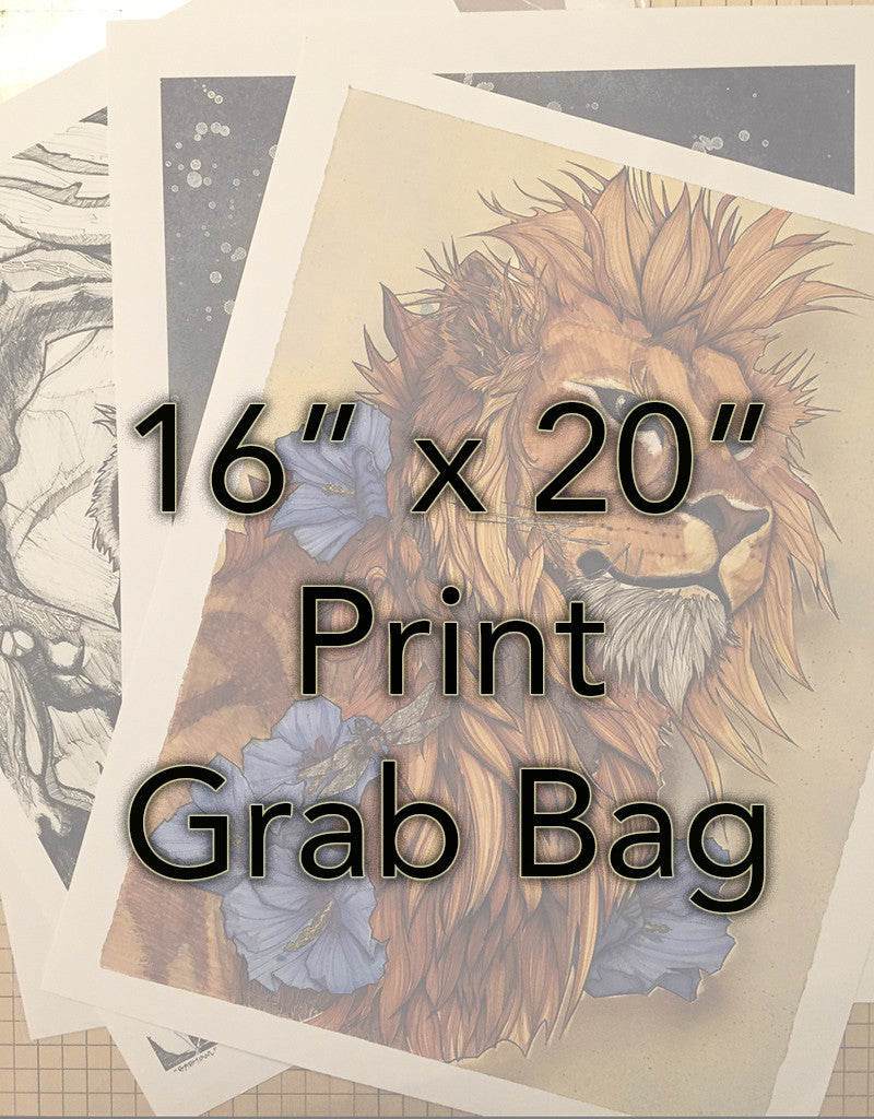 16" x 20" Print Grab Bag