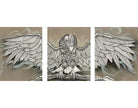 "Andean Condor" ©2012 Michael Rohner