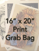 16" x 20" Print Grab Bag