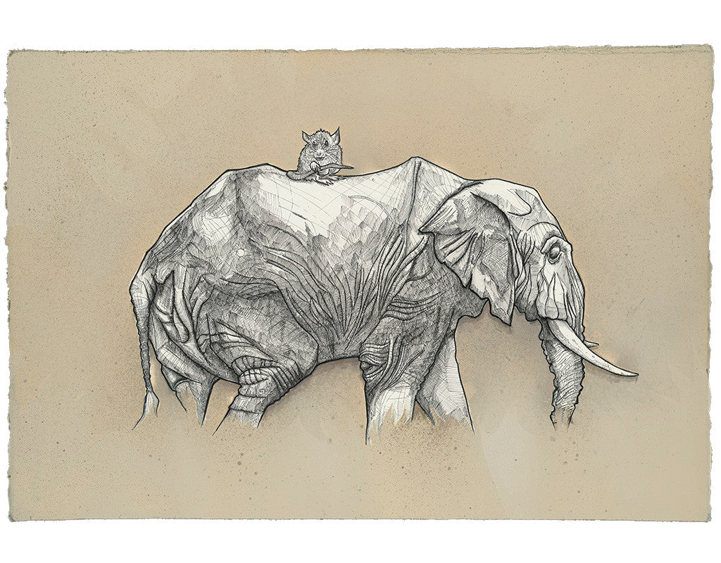 Our Differences Make Us Stronger