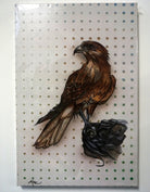 Falcon Canvas Giclèe